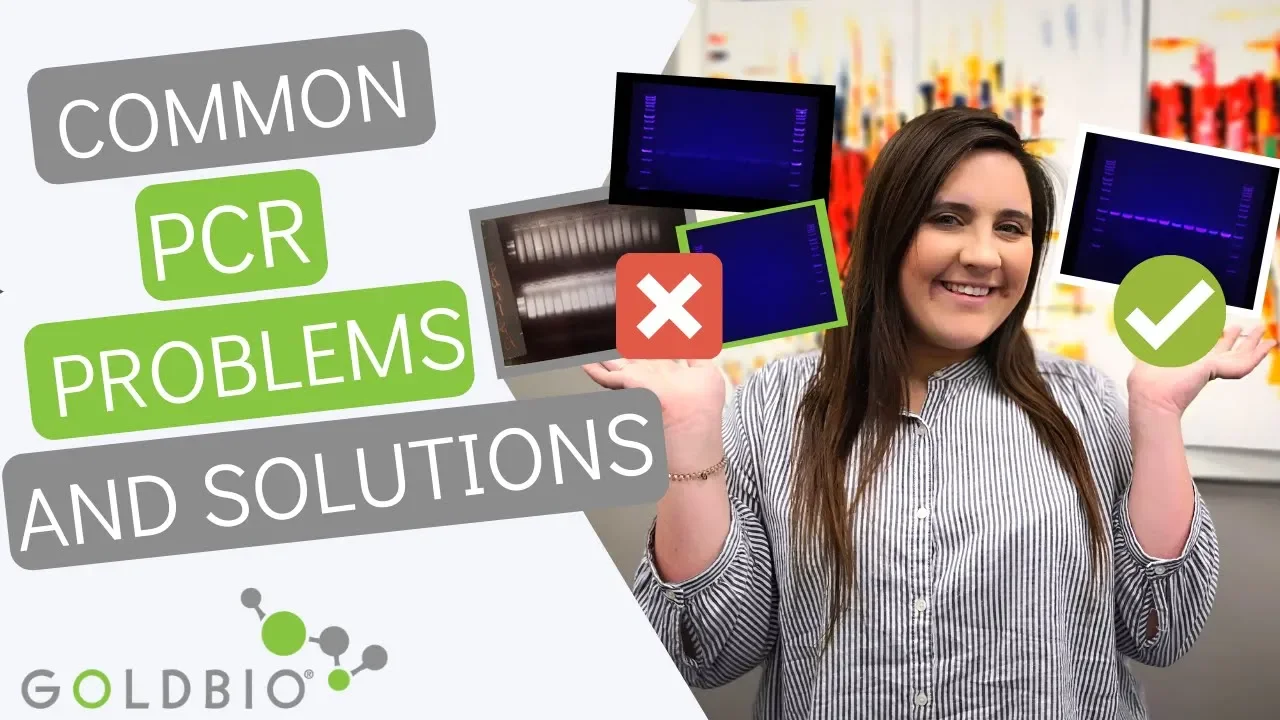 PCR Troubleshooting: Explanations and How to Fix Common PCR Problems