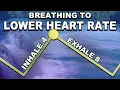 Deep Breathing to Slow Heart Rate inhale 4 exhale 8