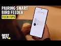 App Pairing for the Bird Buddy Smart Feeder with Solar Roof - Tech Tips from Best Buy