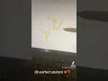 Learn Arabic with Rawiah