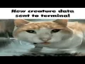 Lethal Company Gifs In A Nutshell