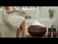 Beachwood Essentials Oils