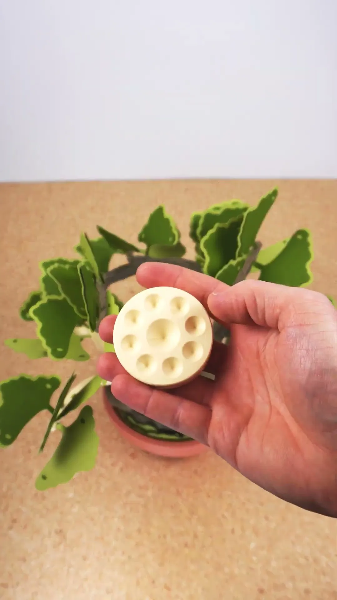 Bonsai Pencil Holder