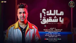 اغنية مالك يا شقيق   مالك يا خفيف   امير قاسم جديد   انتاج الاسطورة ابراهيم الشناوى        دندنها