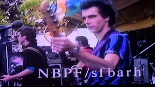 not fade away tazmanian devils 1983