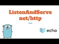 RESTful API in Golang using Echo - ListenAndServe