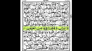 سورة يس للقارئ مشاري راشد العفاسي 