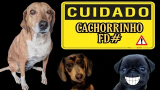 Download óia o cachorrinho fdp 2022 🦮( Oia the puppy dog ) - 3ª parte MP3