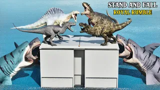 STAND AND FALL ROYAL RUMBLE