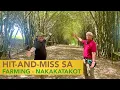 Download Lagu Hit-And-Miss sa Farming - Nakakatakot!