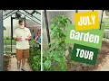 Greenhouse Gardening in Summer in Texas