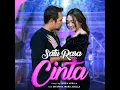 Satu Rasa Cinta (feat. Difarina Indra Adella) - Fendik Adella