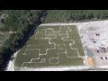 Madrac Farms