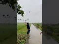 Download Lagu Thả diều chiến bão yagi cực chất diều cong kinh khủng..#xuhuong #youtubeshorts #kite #shorts