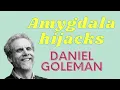 Download Lagu Daniel Goleman's uitleg van 'amygdala-kapingen'