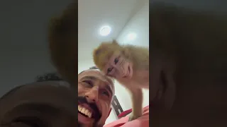 الواد ده عنبه حلوين كده ليه حيوانات ابو اسيا  الواد ده عنبه حلوين كده ليه حيوانات ابو اسيا