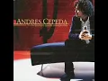Andres Cepeda Piel Canela (tema de la telenovela El Inutil)