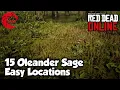 Oleander Sage Locations RDR2 Online - Red Dead Online Oleander Sage Location Guide
