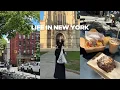 Download Lagu vlog | spending money on pastry and coffee is my therapy, day6 concert, princeton picnic,NYC diaries