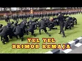 Download Lagu YEL YEL BRIMOB REMAJA POLDA BALI