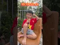 Download Lagu Cắt đôi nỗi sầu phiên bản loạn xà ngầu 🤣 #funny #catdoinoisau