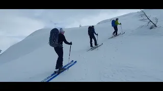                     دندنها