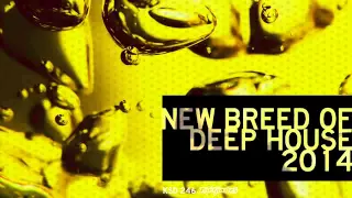 new breed of deep house bonus mix1 by the wig continuous mix 