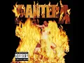 Revolution Is My Name - Pantera