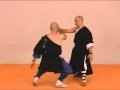 Download Lagu Tai chi chuan Combat