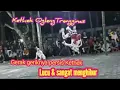 Download Lagu Wouw...! Kethek Ogleng keren Banget, penonton dibuat kocar kacir