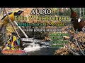 Download Lagu Masteran Cililin VS Cucak Cungkuk Di Sertai Suara Air Mengalir