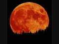The Moon - Ezra Furman and the Harpoons