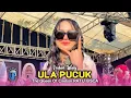 Lagu ULA PUCUK • INDAH WATY • RATU GISCA • Show Jambe Kertasmaya Indramayu 