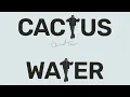 Channel Tres - Cactus Water (Audio)