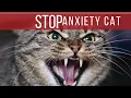 Download Lagu How To Deal With angry Cat | Best Techniques To Handle Anxiety Cat like Pro | #cat