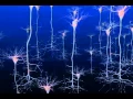 Firing Neurons Cell Dance 2010 Public Outreach Winner