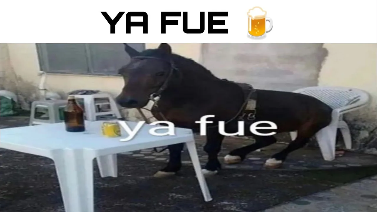 Memes Random #1