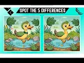 Spot The Difference Spot 5 Difference in a Picture Find Hidden Objects Visual Puzzle Illusion s
