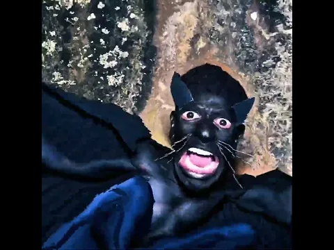 BaT CaT FoI PeGo dIsTrAiDo nAs rOcHaS