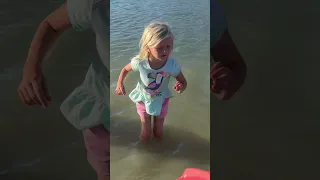 Clam digging in NZ! 🇳🇿 Fresh clams straight from the shore to the grill. #sailingaroundtheworld