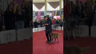 Dorin and Mali - Training at Petexpo 2024.