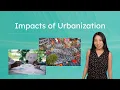 Impacts of Urbanization - How Do Big Cities Impact the Environment