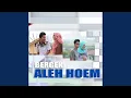 Download Lagu Aleh Hoem