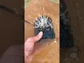 Download Lagu Waterproof Bluetooth Speaker #bluetoothaudio#subwoofer#audio#shorts#speaker#bass#dj#youtube#viral