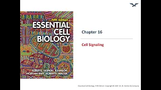 Cell Signaling Basics