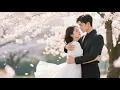 Download Lagu Xu Lingyun \u0026 Ye Miao~Undangan Musim Semi, Kedua Arah Bersatu Setelah 11 Tahun!#MiniDrama