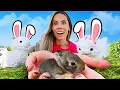 Download Lagu WE FOUND BABY BUNNIES !