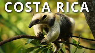 COSTA RICA ASOMBROSA: El mejor lugar del mundo para vivir