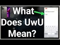 What Does UwU Mean