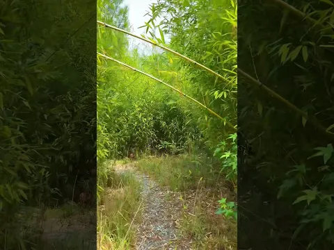 Get lost, they said